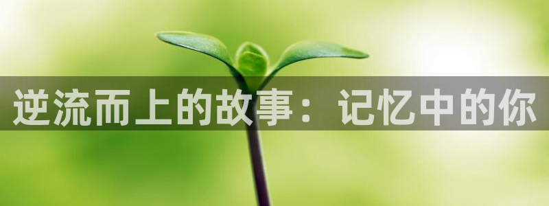 《千与千寻》樱花动漫：逆流而上的故事：记忆中的你