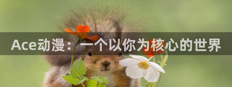 完美的动漫在线观看樱花动漫：Ace动漫：一个以你为核心的世界