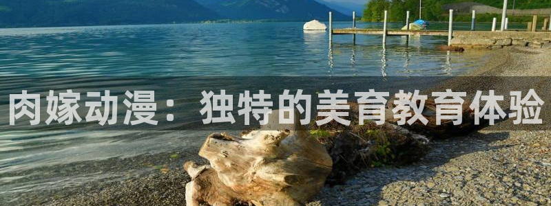 樱花动漫之后宫露营：肉嫁动漫：独特的美育教育体验